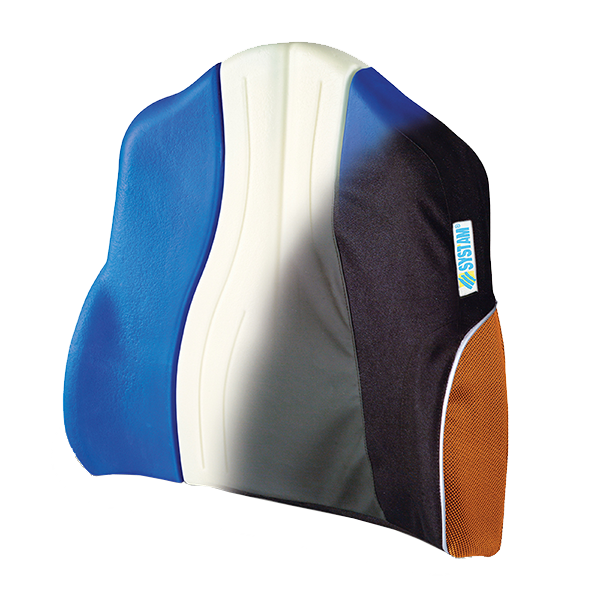 Systam Back Cushion