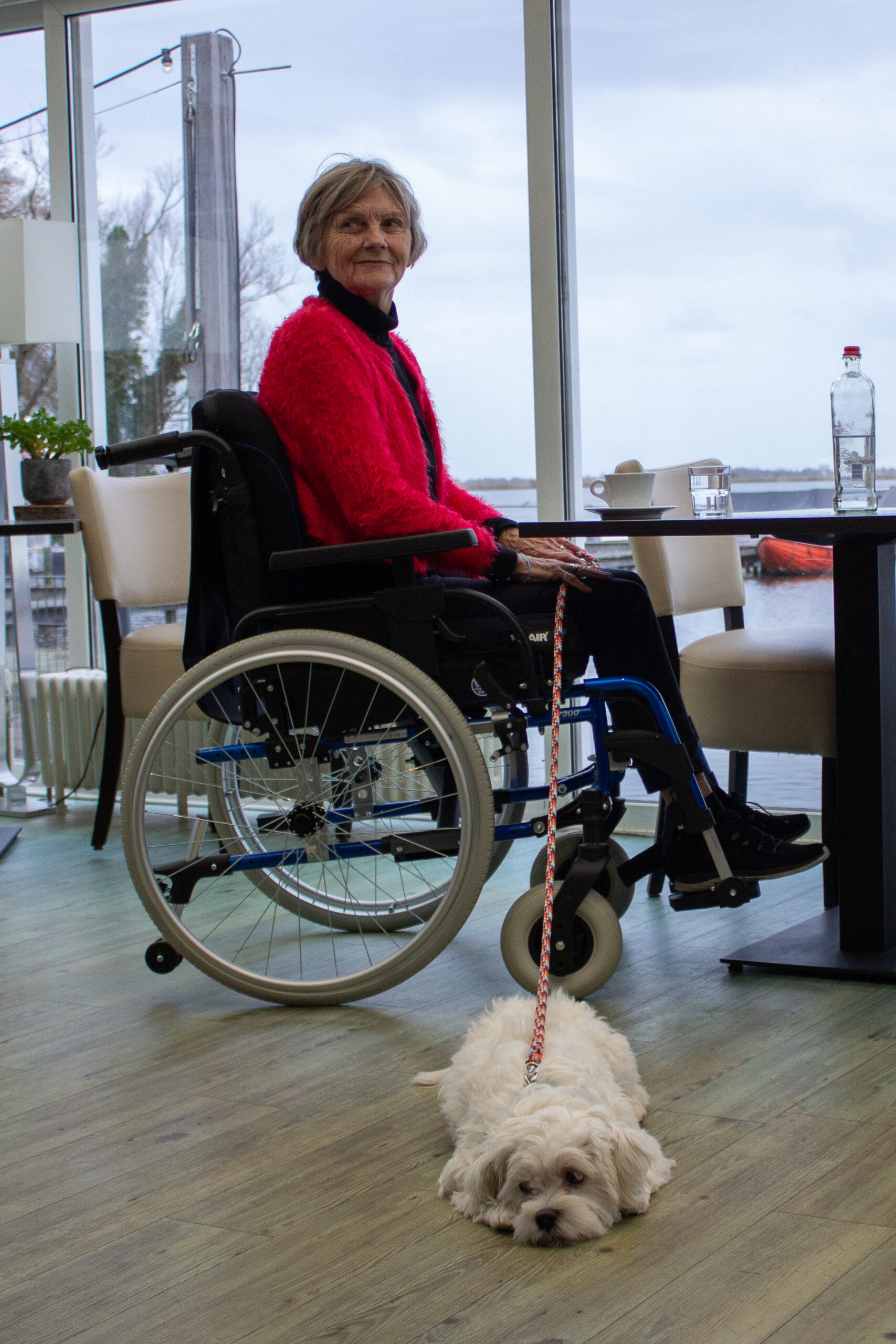Postural stability and the effects of wheelchair cushions